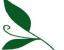 Brezzer Mint Logo
